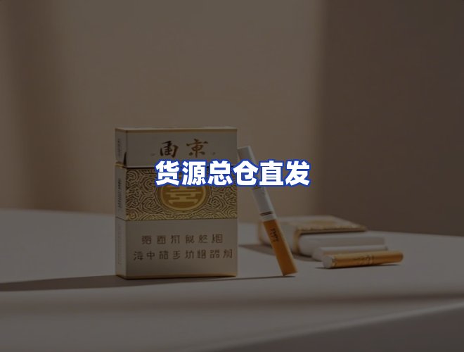 专业团队
